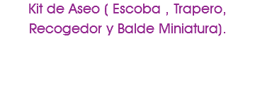 Kit de Aseo ( Escoba , Trapero, Recogedor y Balde Miniatura).